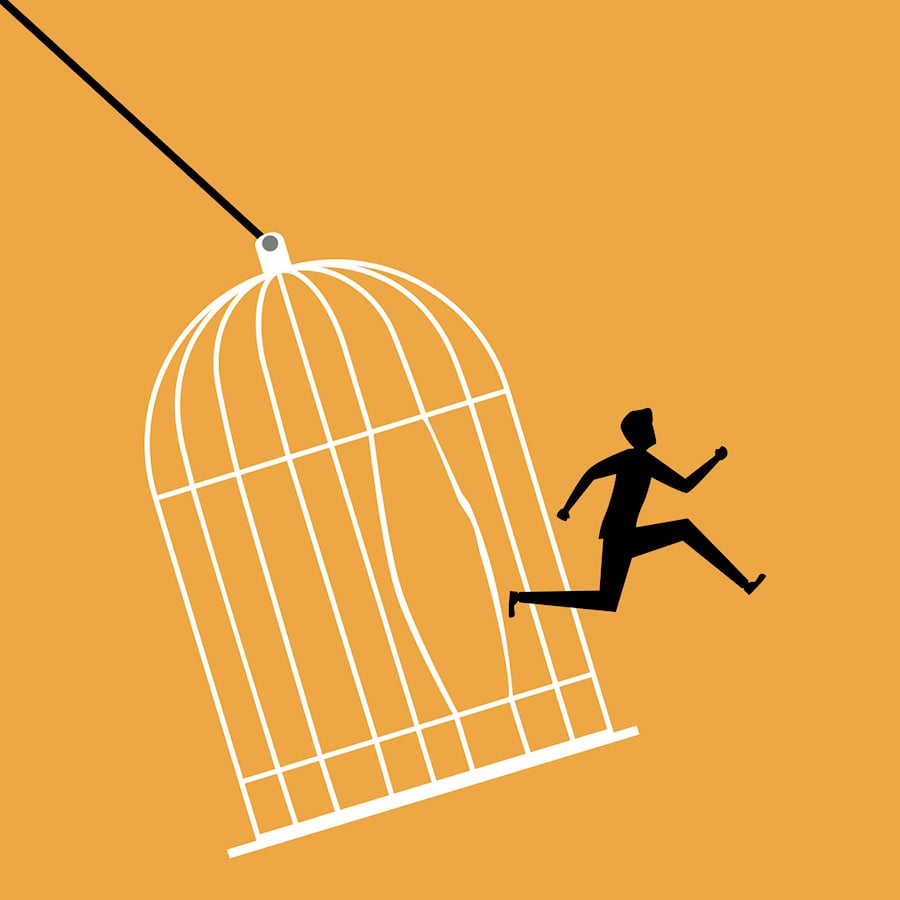 Freedom From Sense Cover Art